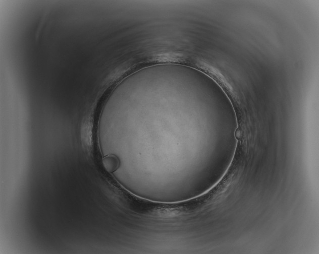 X0000102400299200808011552