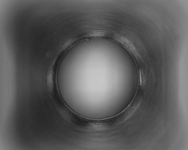 X0000102400300200808011552