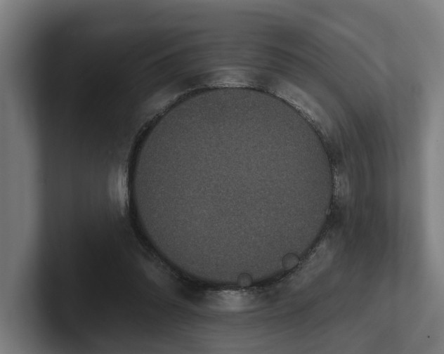 X0000102400302200808011552