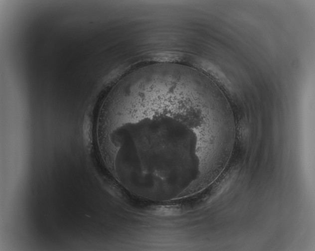 X0000102400303200808011552