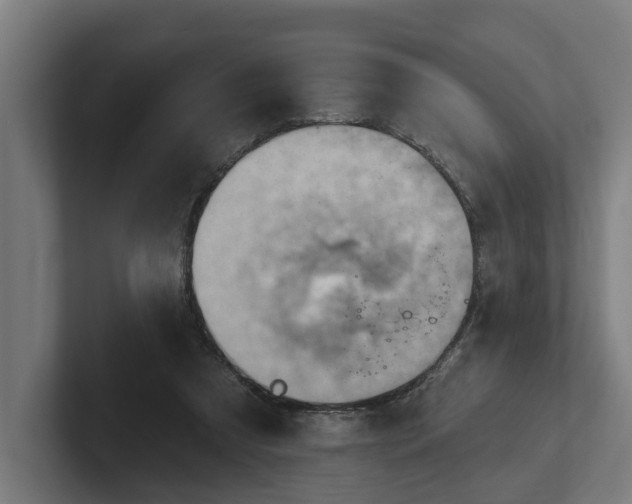 X0000102400305200808011552