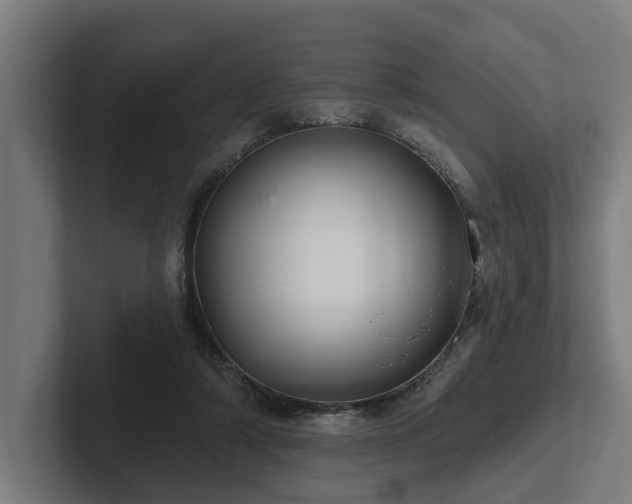 X0000102400306200808011552