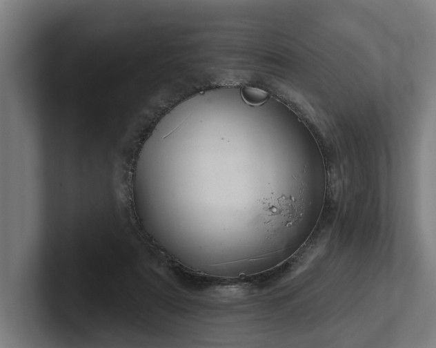 X0000102400307200808011552