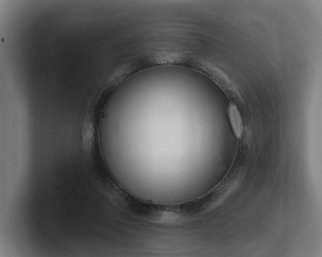 X0000102400308200808011552