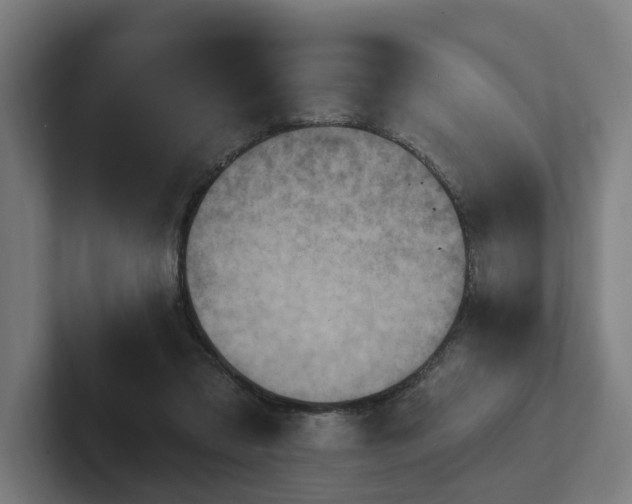 X0000102400309200808011552