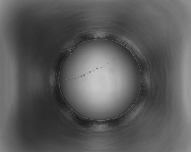 X0000102400311200808011552