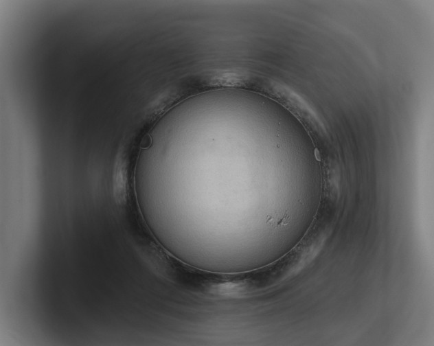 X0000102400312200808011552