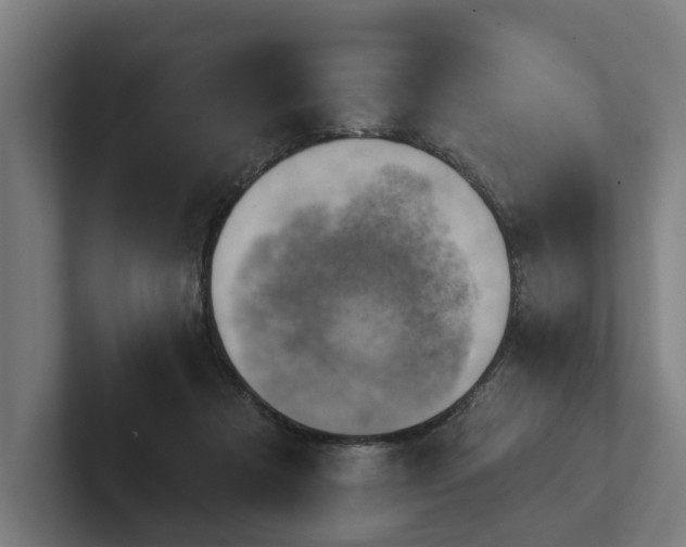 X0000102400313200808011552