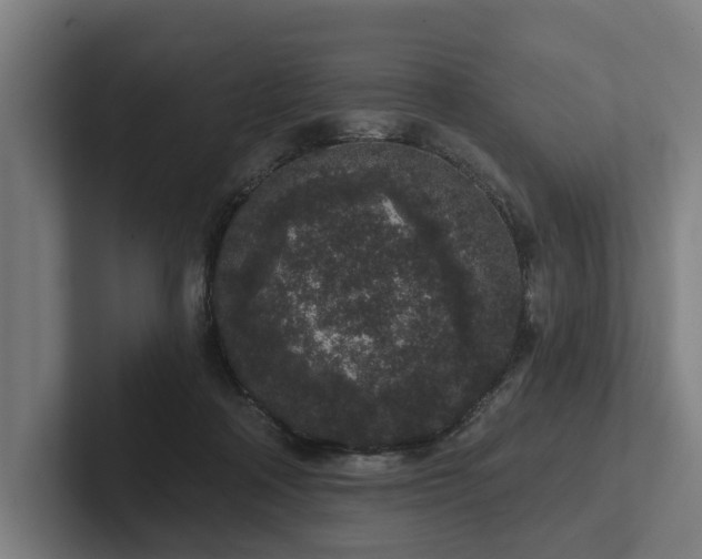 X0000102400314200808011552