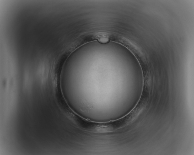 X0000102400315200808011552