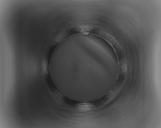 X0000102400316200808011552