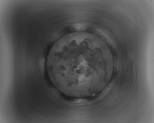 X0000102400319200808011552