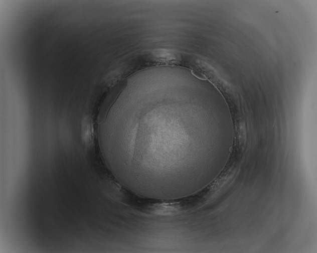 X0000102400320200808011552