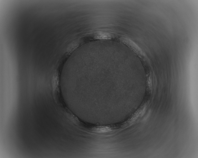 X0000102400322200808011552