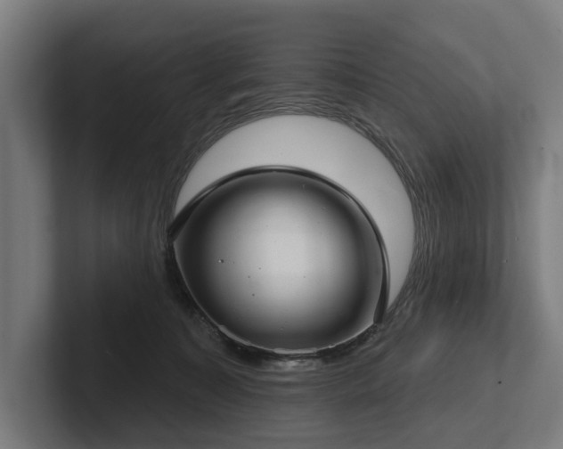 X0000102400323200808011552