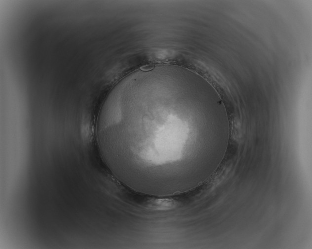 X0000102400324200808011552