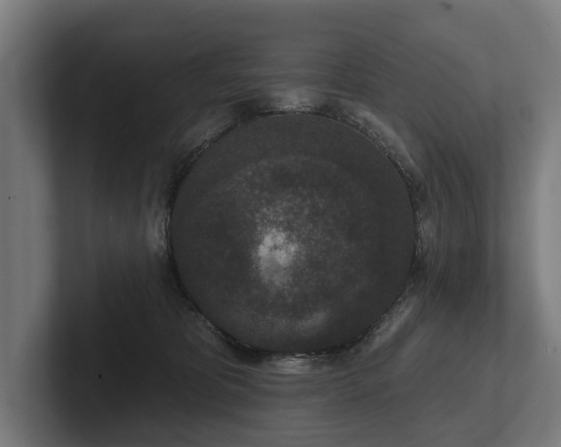 X0000102400325200808011552