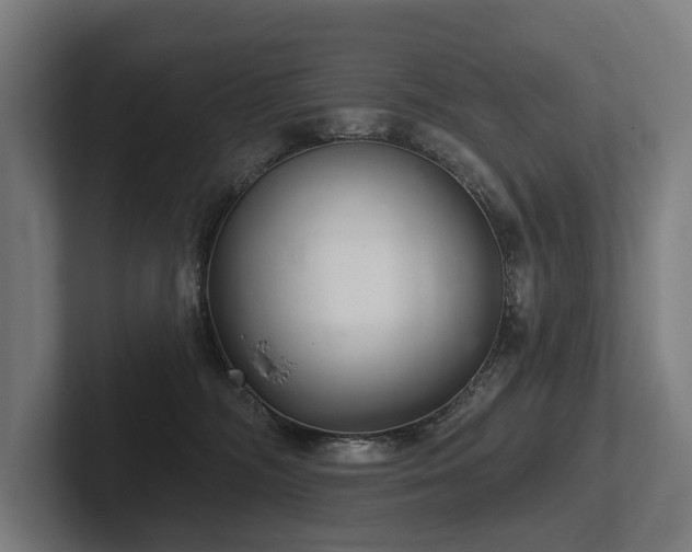 X0000102400326200808011552