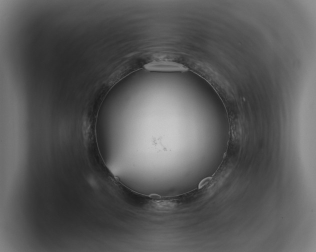 X0000102400327200808011552