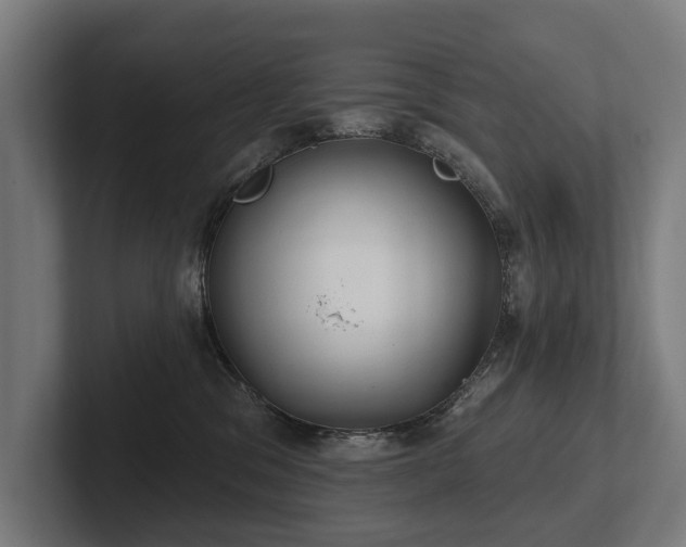 X0000102400329200808011551