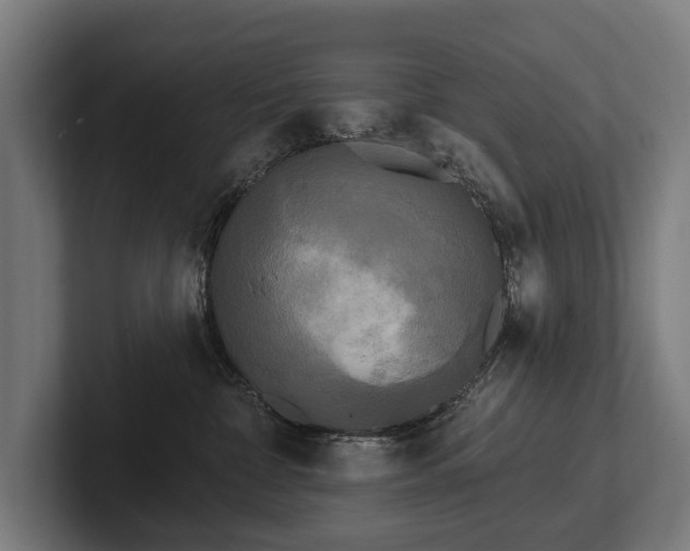 X0000102400332200808011551