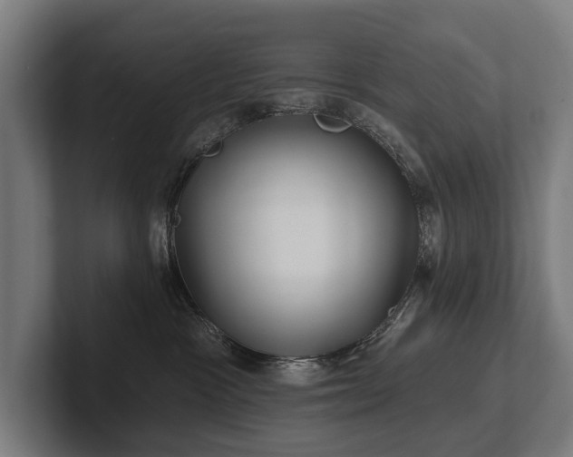 X0000102400333200808011551