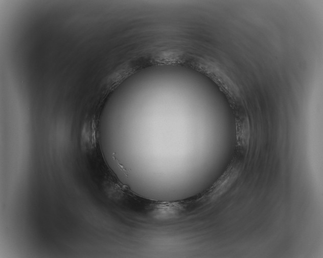 X0000102400334200808011551