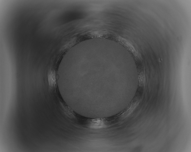 X0000102400335200808011551