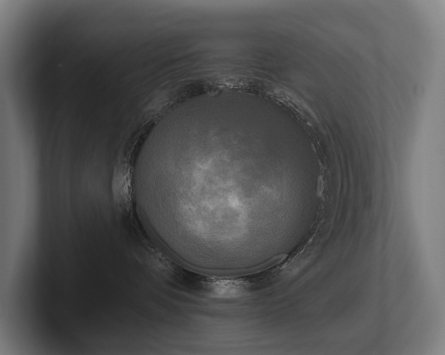 X0000102400336200808011551