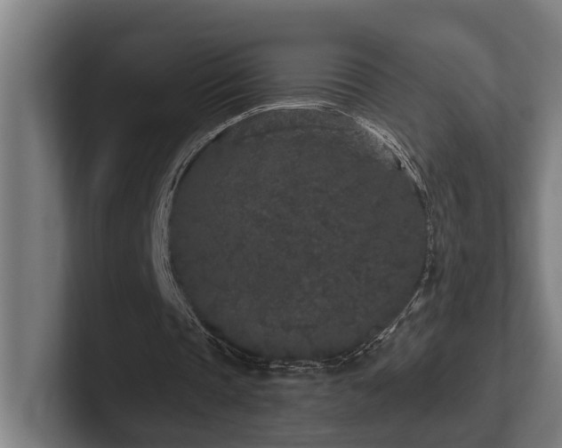 X0000102400337200808011551