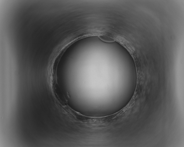 X0000102400338200808011551