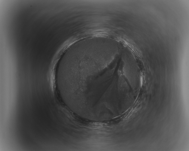 X0000102400339200808011551