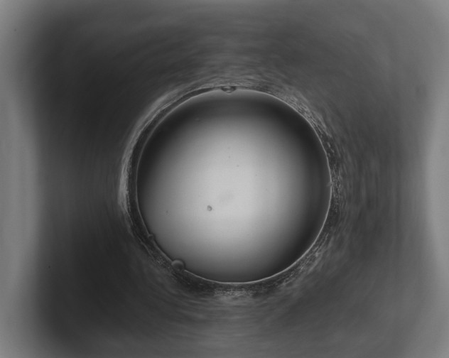 X0000102400340200808011551