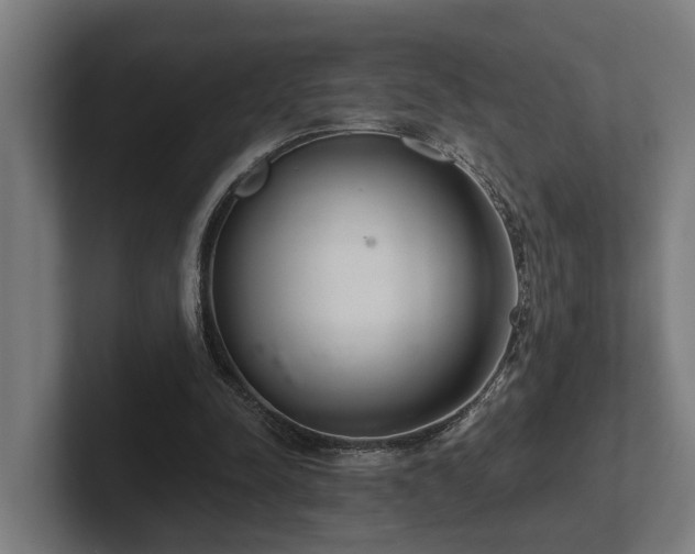 X0000102400342200808011551