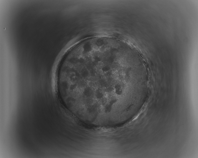 X0000102400343200808011551