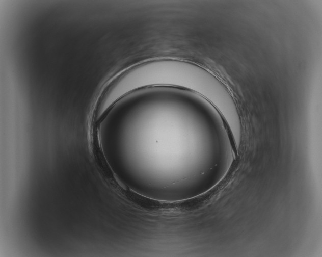 X0000102400344200808011551