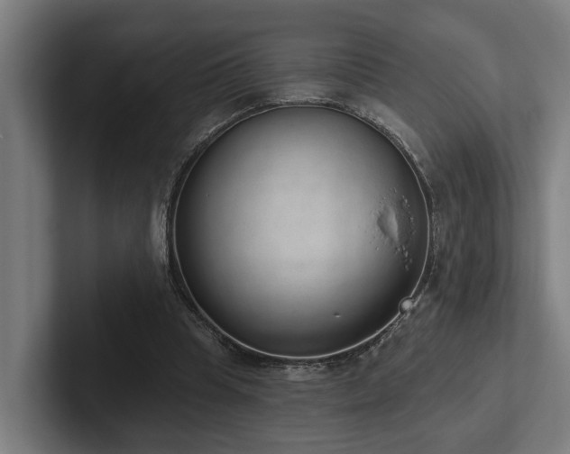 X0000102400345200808011551