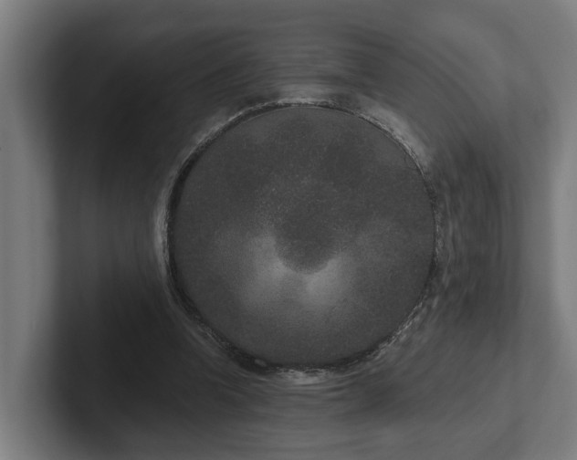 X0000102400346200808011551