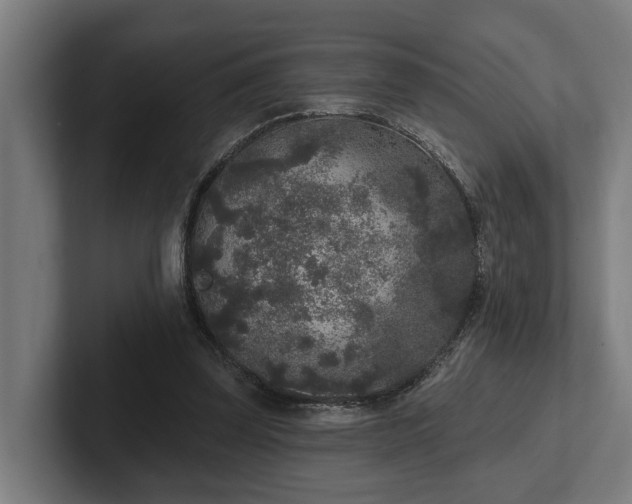 X0000102400347200808011551