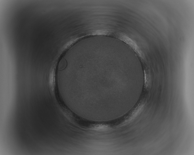 X0000102400348200808011551