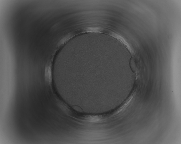 X0000102400349200808011551