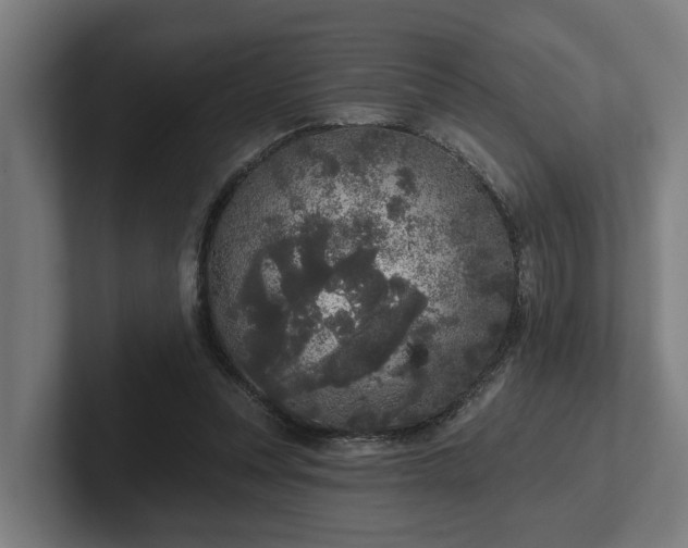 X0000102400351200808011551