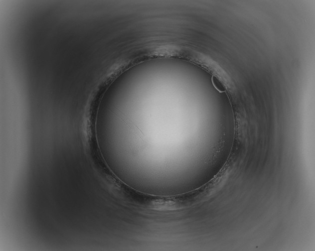 X0000102400354200808011551