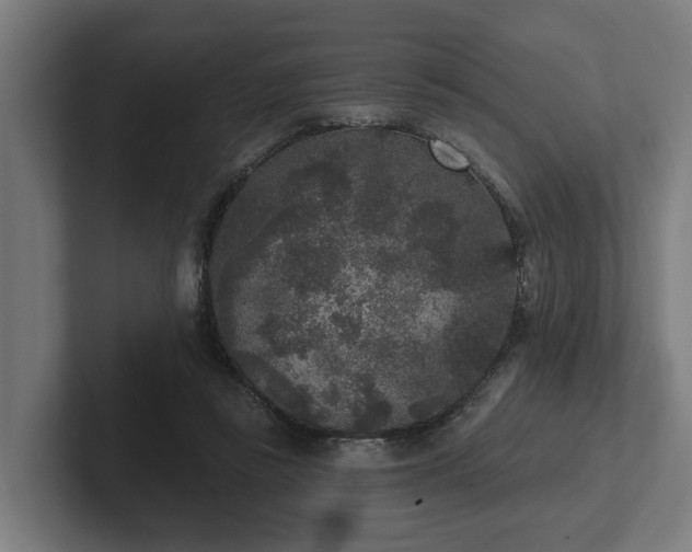 X0000102400355200808011551