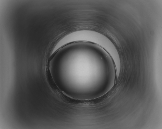 X0000102400356200808011551