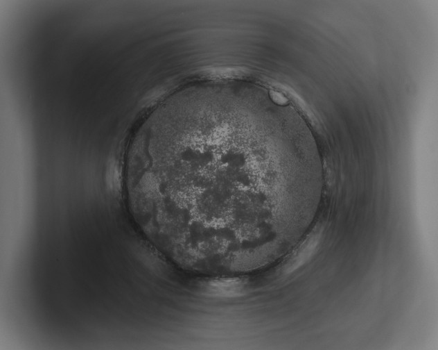 X0000102400357200808011551