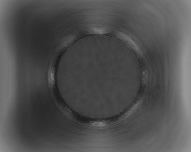 X0000102400358200808011551