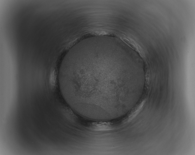 X0000102400359200808011551