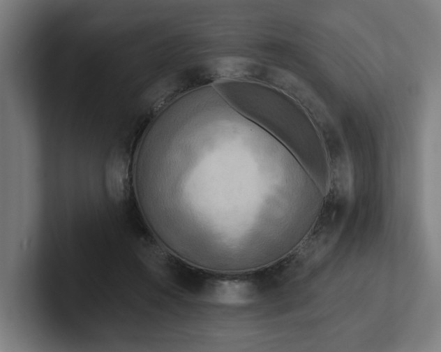 X0000102400360200808011551