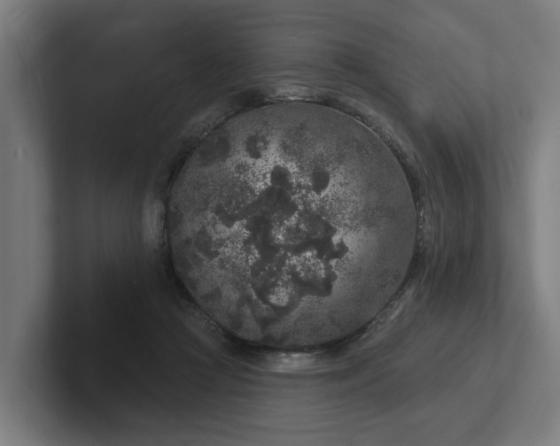 X0000102400361200808011551